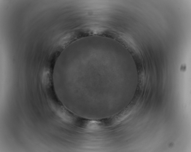 X0000102390222200808011607