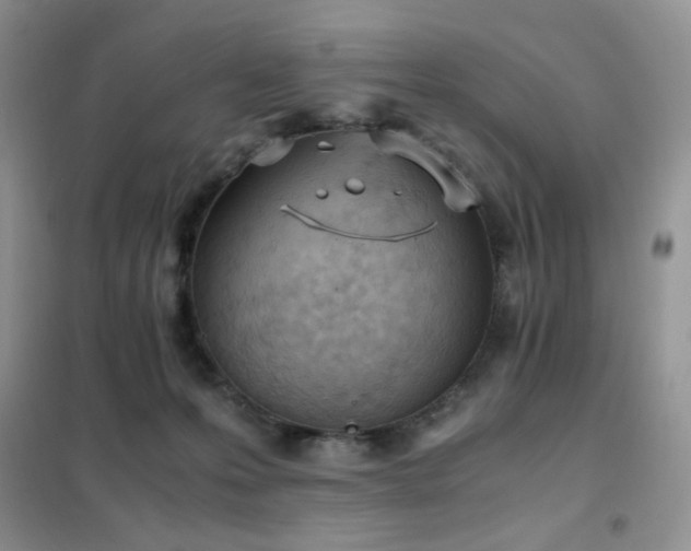 X0000102390223200808011607