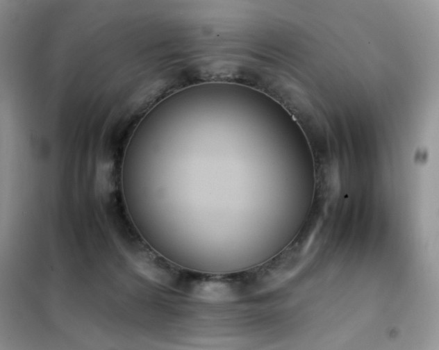 X0000102390224200808011607