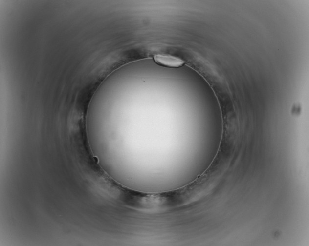 X0000102390225200808011607