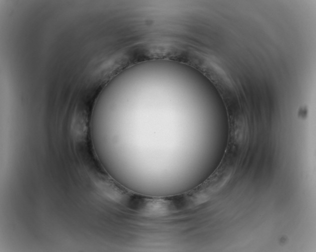 X0000102390226200808011607