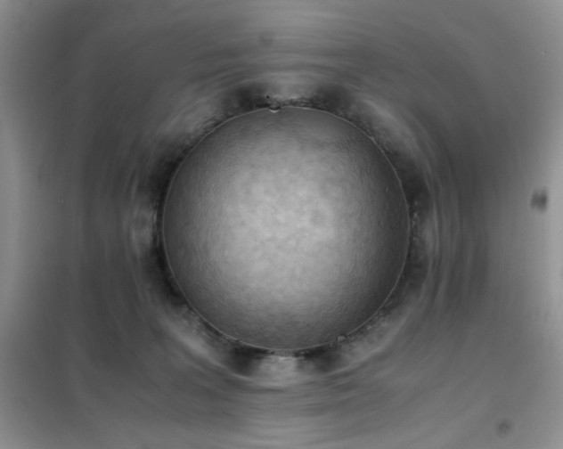 X0000102390227200808011607