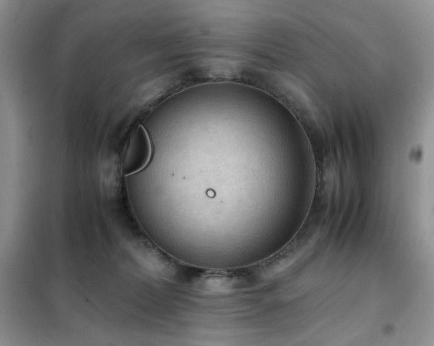 X0000102390228200808011607