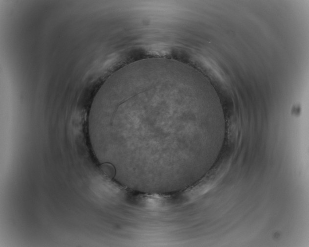 X0000102390229200808011607