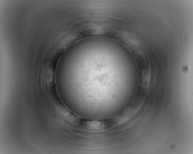 X0000102390230200808011607