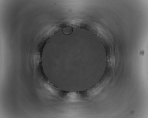 X0000102390231200808011607