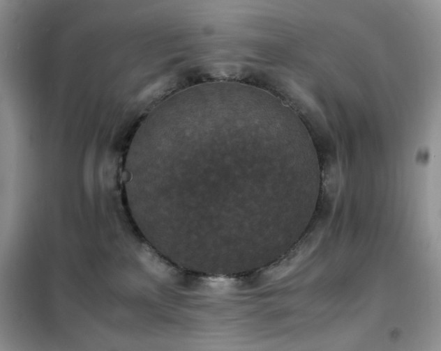 X0000102390233200808011607