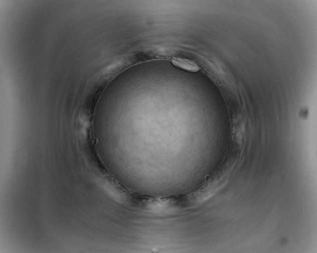 X0000102390235200808011607