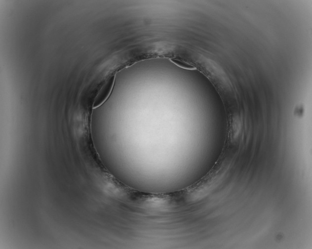 X0000102390236200808011607