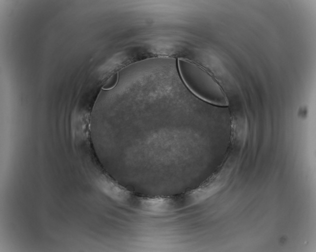 X0000102390237200808011607