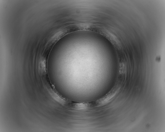 X0000102390238200808011607