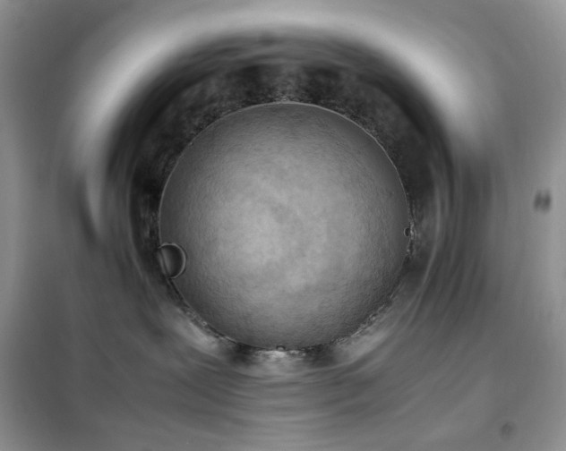 X0000102390239200808011607