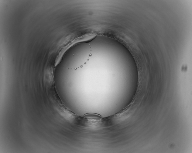 X0000102390240200808011607