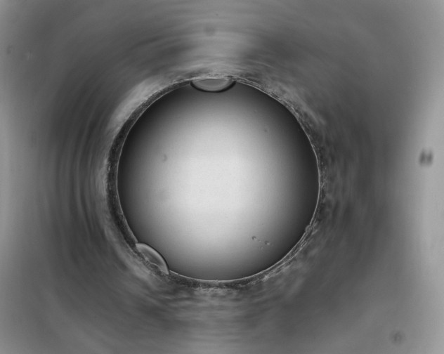 X0000102390242200808011607