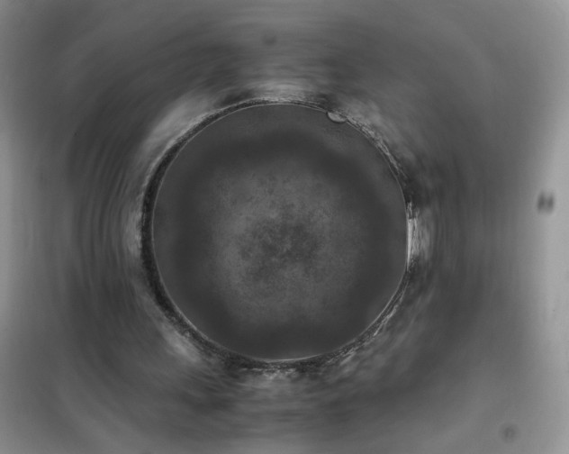 X0000102390243200808011607