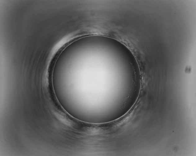 X0000102390246200808011607