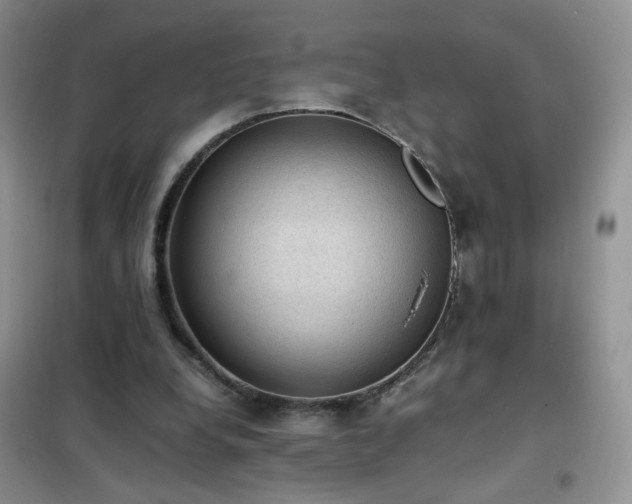 X0000102390248200808011607