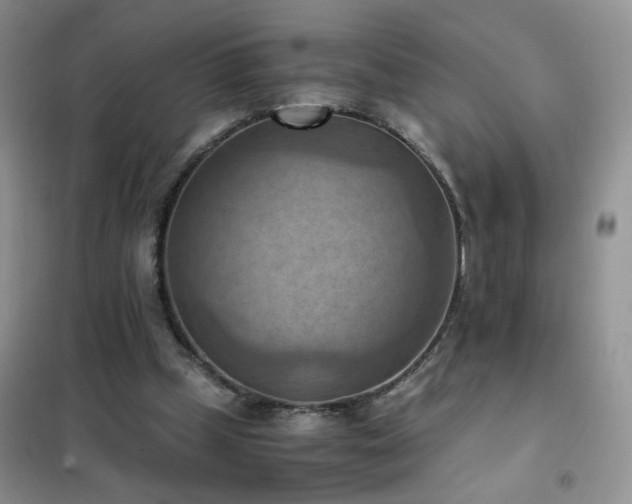 X0000102390249200808011607