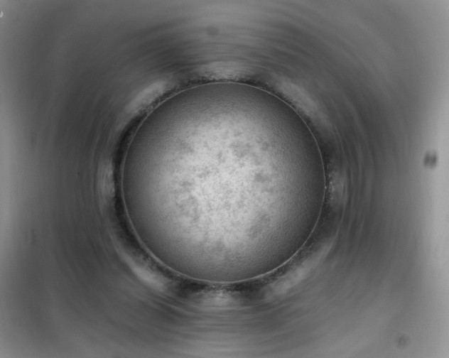 X0000102390254200808011607