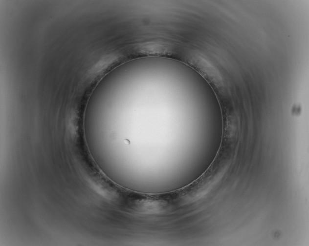 X0000102390255200808011607