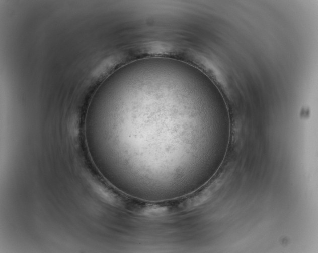 X0000102390257200808011607