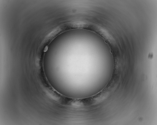 X0000102390258200808011607