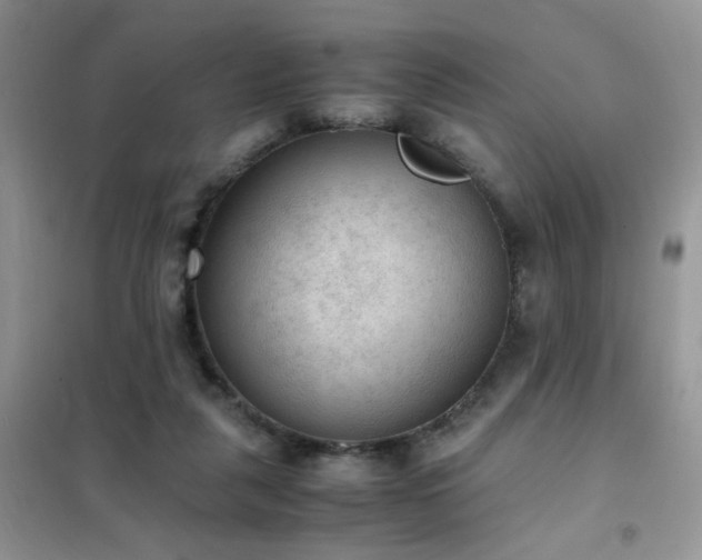 X0000102390259200808011607