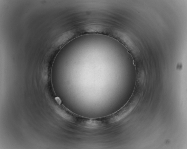 X0000102390261200808011607