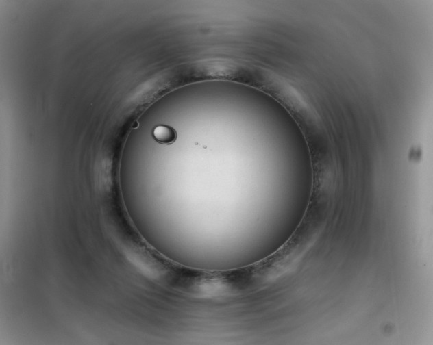 X0000102390262200808011607