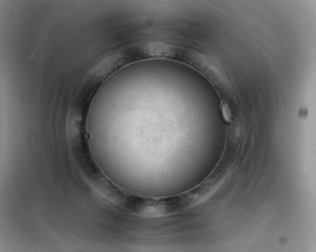 X0000102390263200808011607