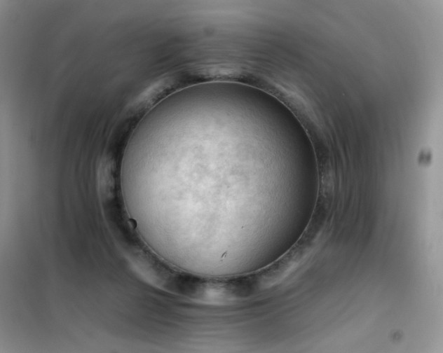 X0000102390264200808011607