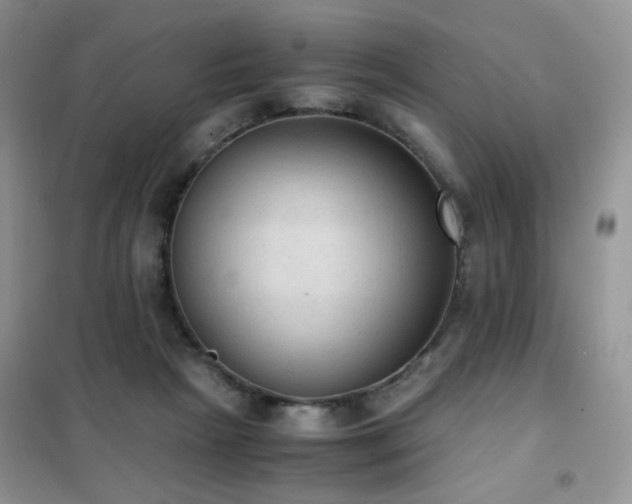 X0000102390265200808011607