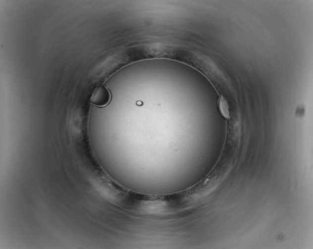 X0000102390266200808011607