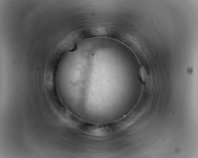 X0000102390267200808011607