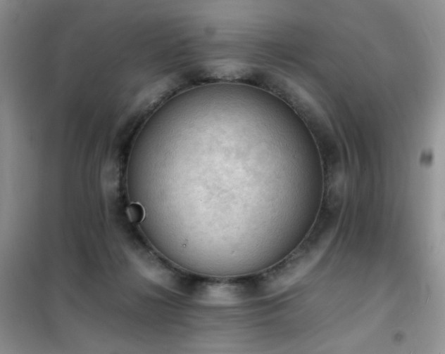 X0000102390268200808011607