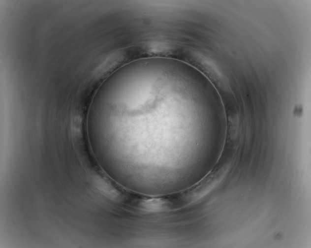 X0000102390269200808011607