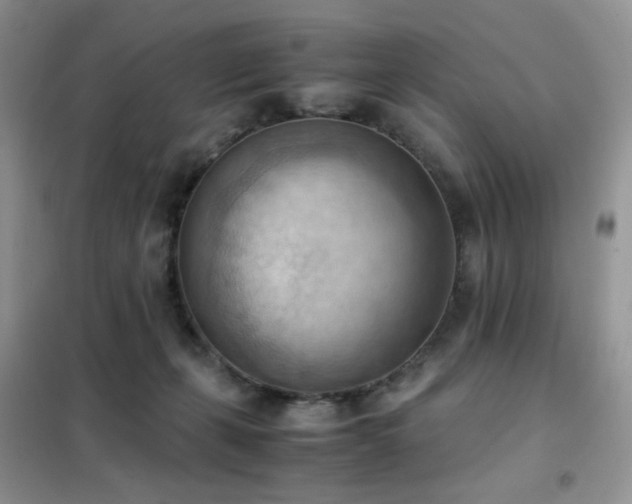 X0000102390271200808011607