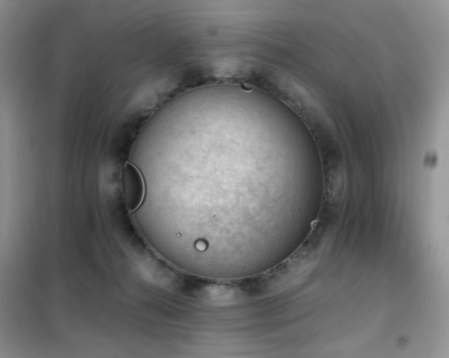 X0000102390272200808011607