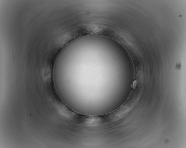 X0000102390274200808011607