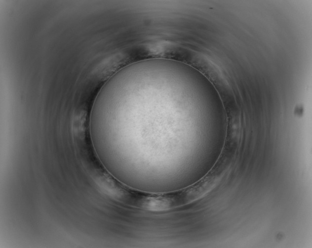 X0000102390275200808011607