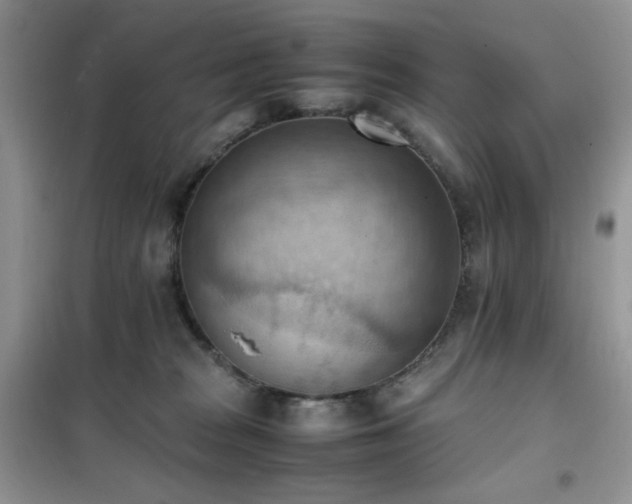 X0000102390277200808011607