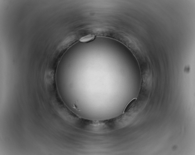 X0000102390278200808011607