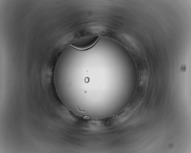 X0000102390279200808011607