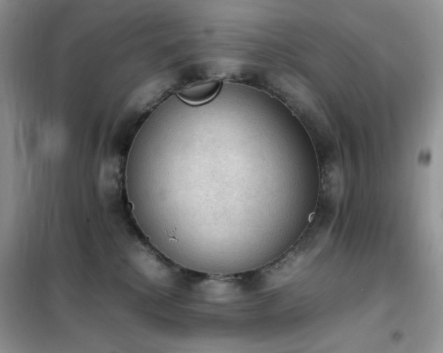 X0000102390280200808011607