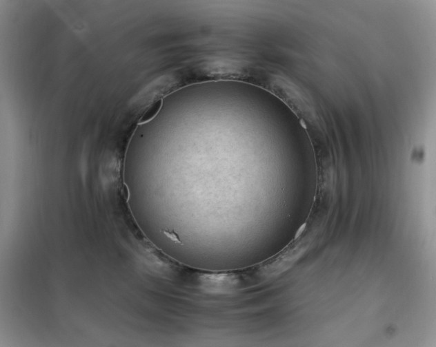 X0000102390281200808011607