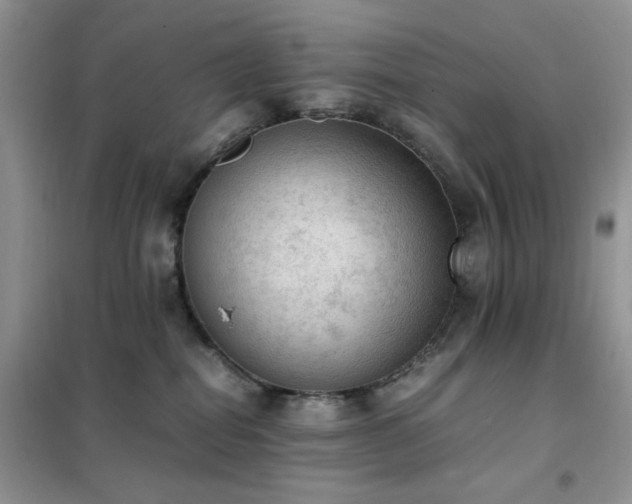 X0000102390282200808011607