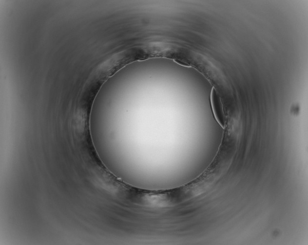 X0000102390283200808011607