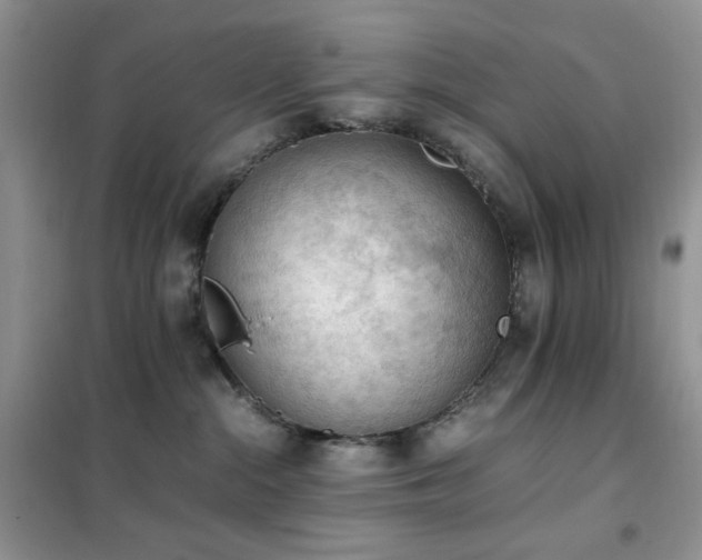 X0000102390284200808011607