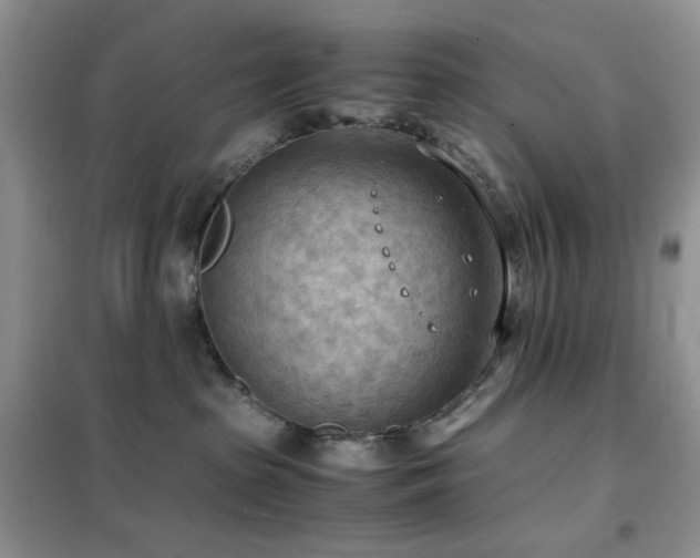 X0000102390285200808011607