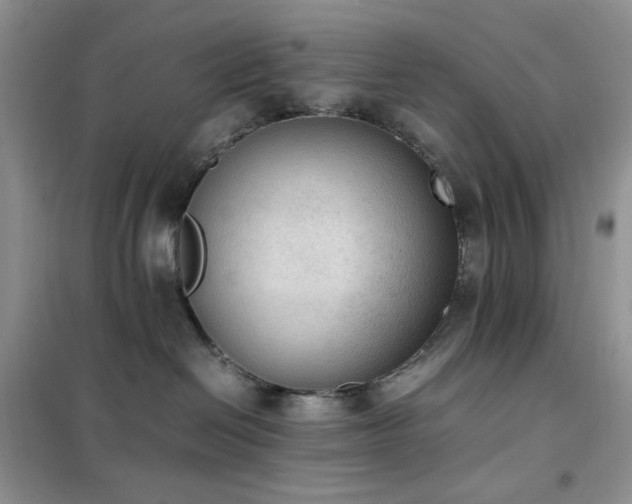 X0000102390286200808011607